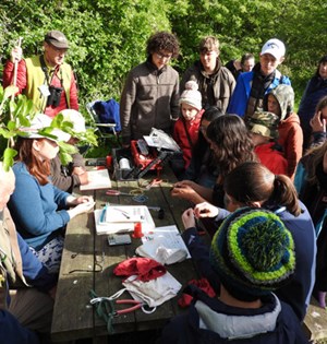 Scottish bird camp ringing demonstration