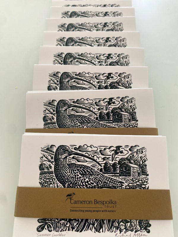 Curlew Cards by Richard Allen