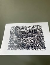 Curlew Cards by Richard Allen