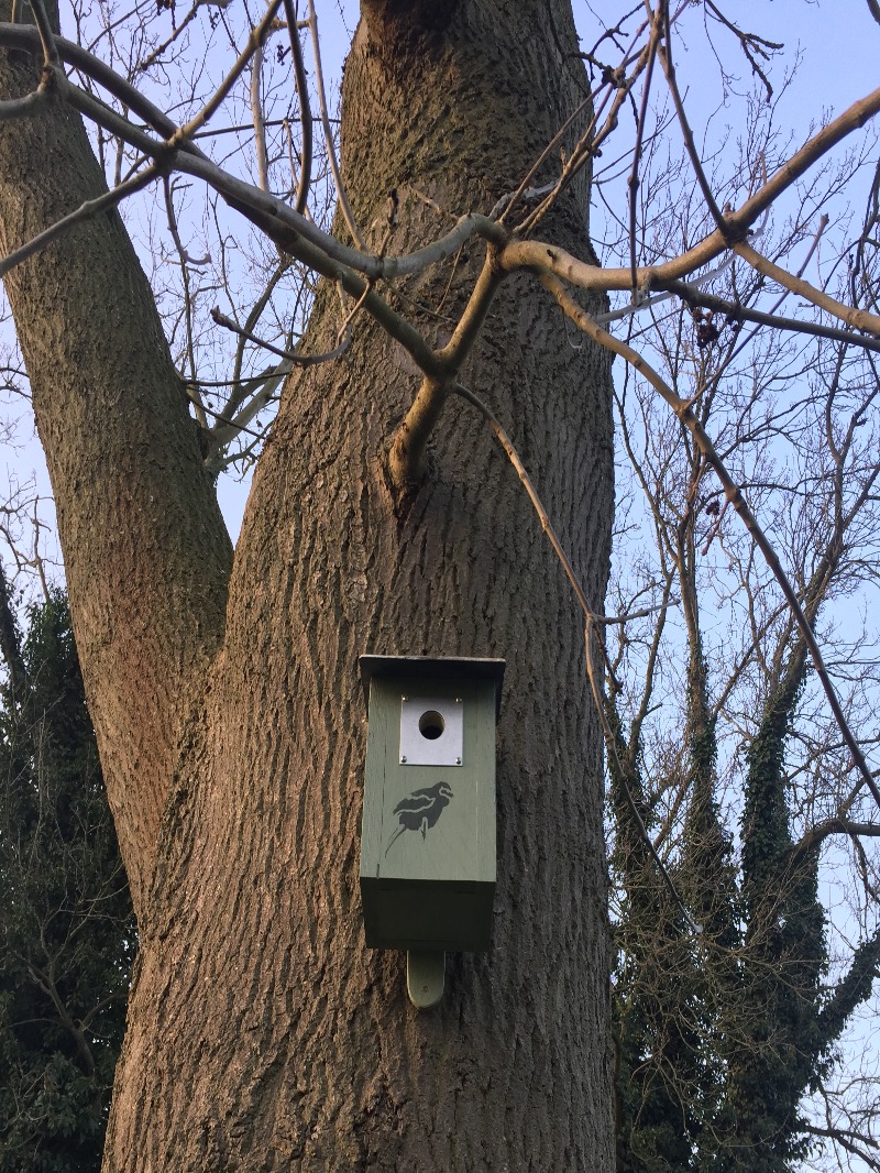 Ellie Mickelwright Bird Box