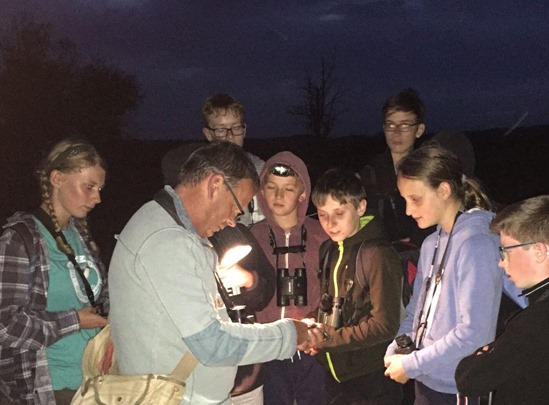 Nightjar Ringing 