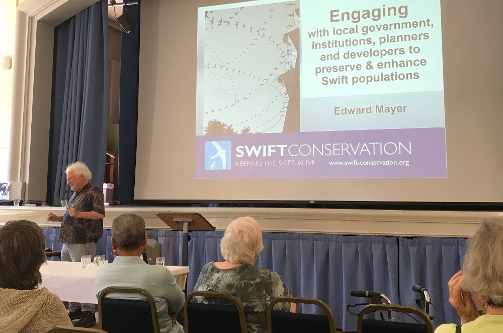 Swift Conservation