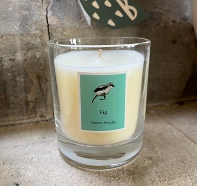 Fig Candle