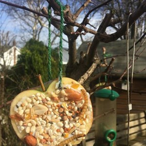 Apple Bird Feeder