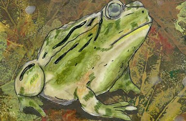 Wildart 2020