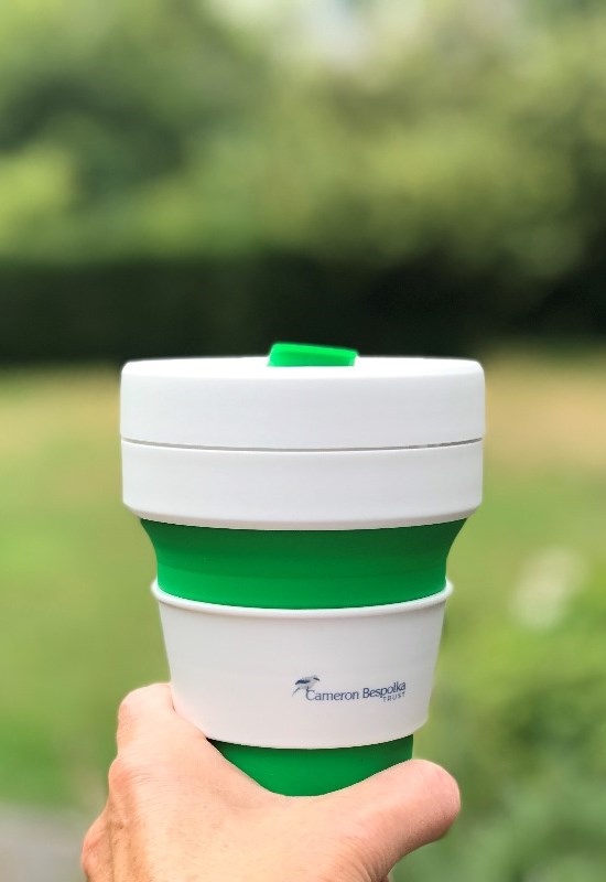 Collapsible Cup
