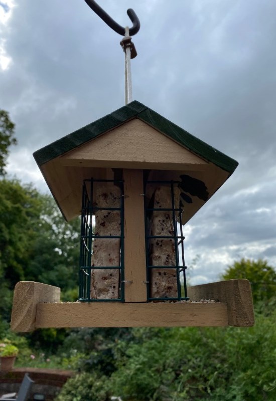 Bird Feeder