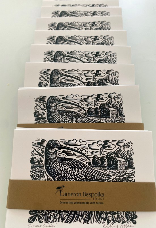 Curlew Cards by Richard Allen