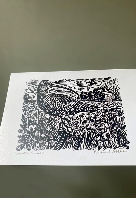 Curlew Cards by Richard Allen