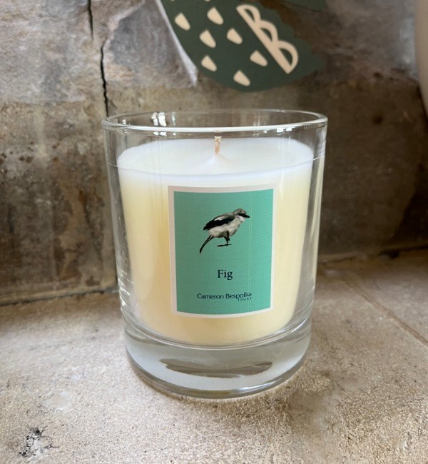 Fig Candle