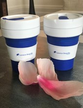 Collapsible Cup