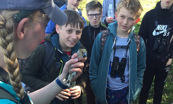 New Forest Wildlife Camp