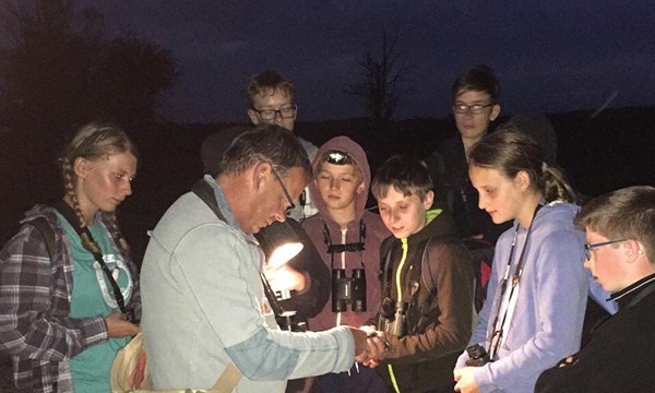 New Forest Wildlife Camp