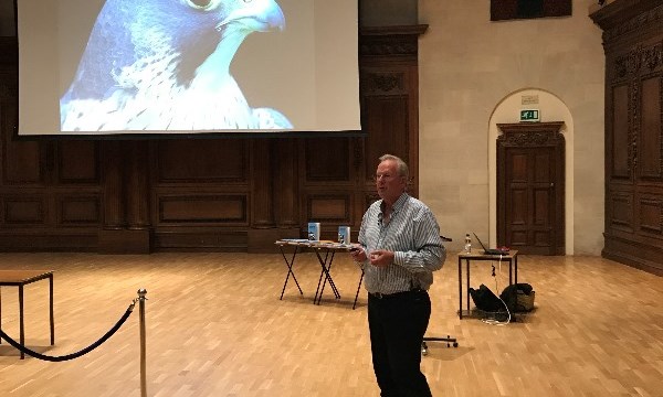 Peregrine Falcons and Red Kites Talk