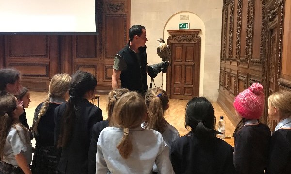 Peregrine Falcons and Red Kites Talk