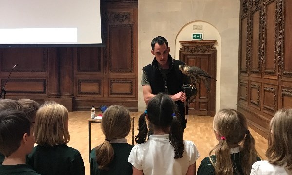 Peregrine Falcons and Red Kites Talk