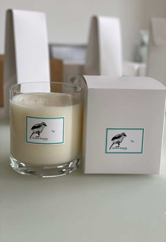 Fig Three wick candle