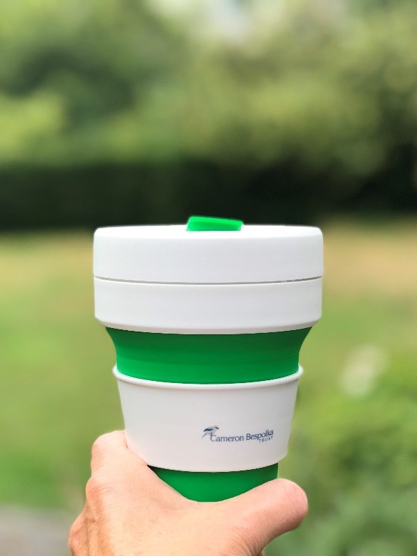 Collapsible Cup
