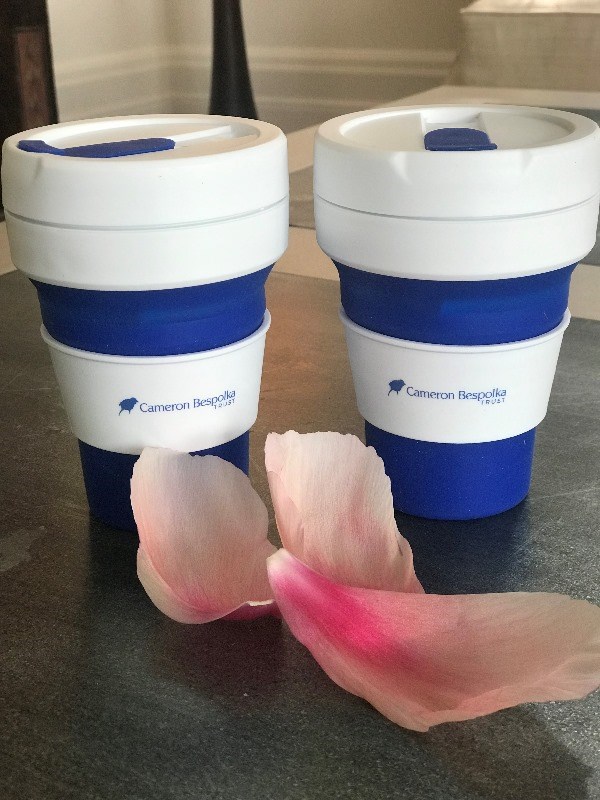 Collapsible Cup