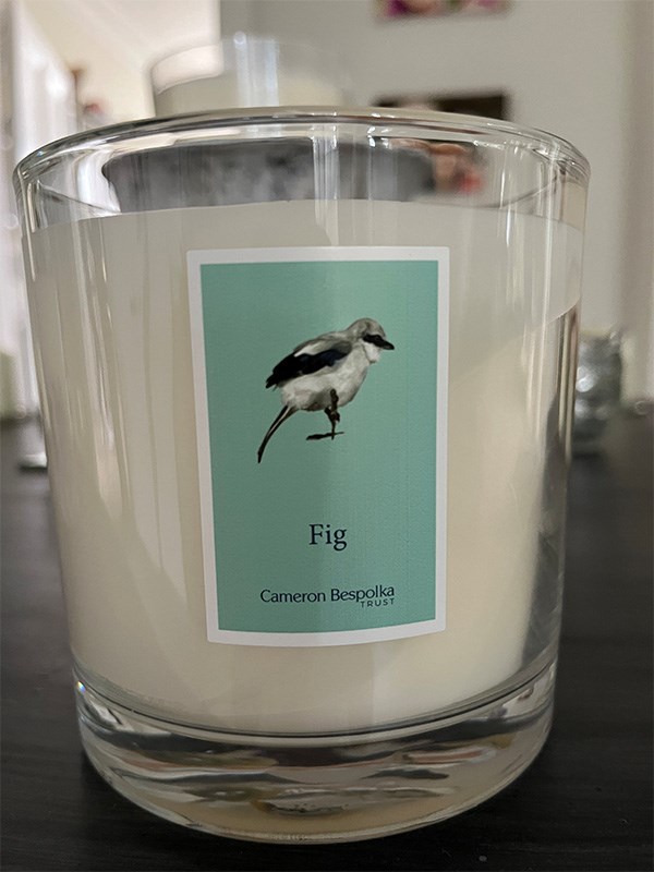 Fig Candle