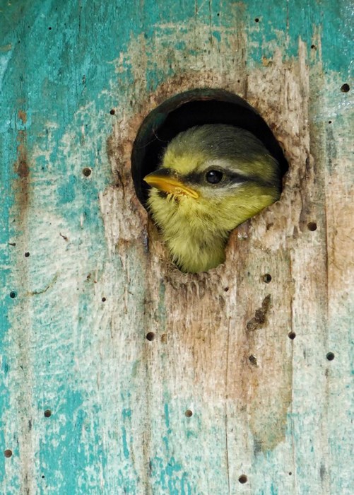 Hello - Photo: John L